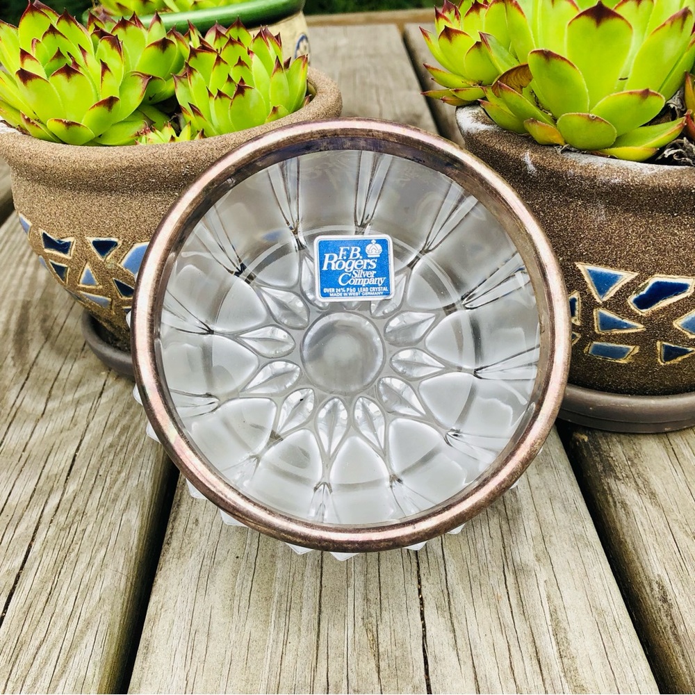 Vintage FB Rogers Lead Crystal Glass Silver Plated Rim Fruit Bowl / Candy Dish